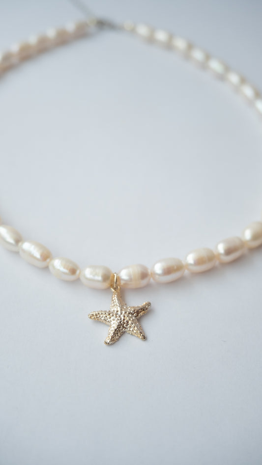 Collar de estrella del mar