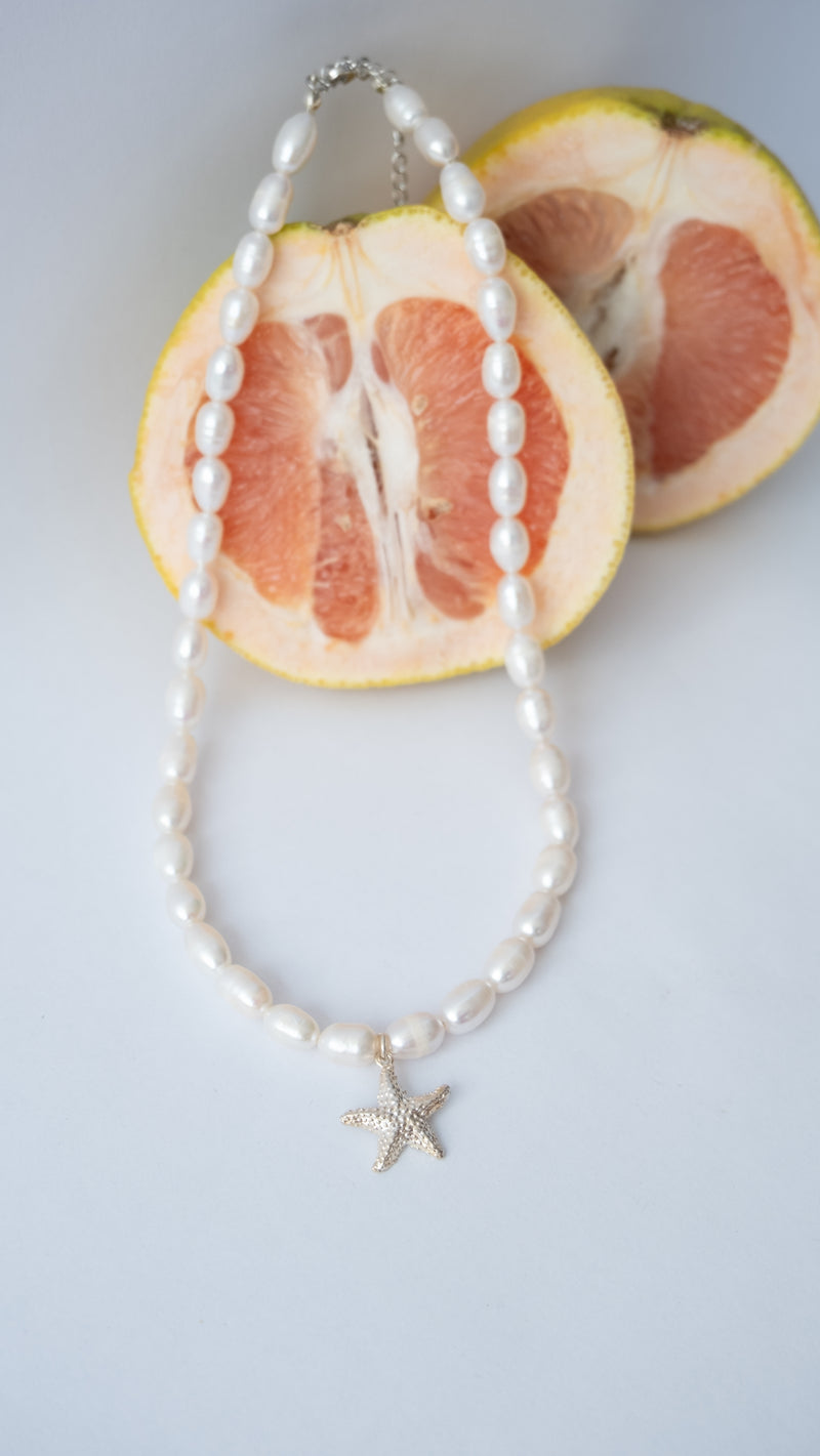 Collar Starfish
