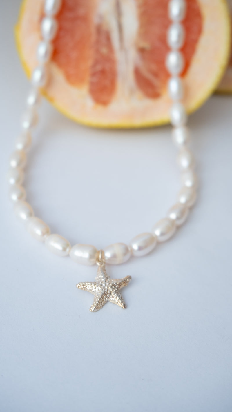 Collar Starfish